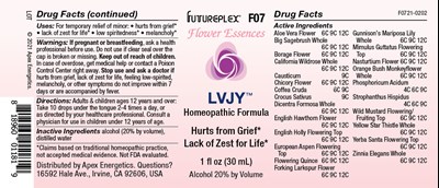 F07 LVJY 20210202.jpg F0721-0202 - F07 LVJY 20210202